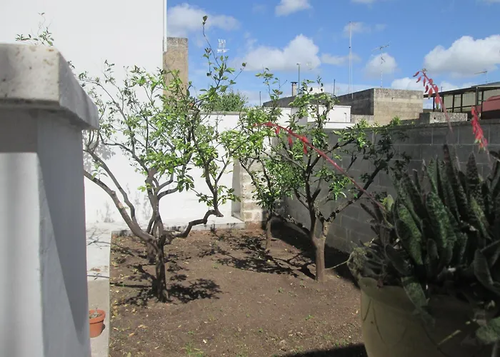 Maison Gigante דירה